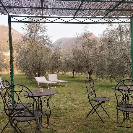Agriturismo Conca Sandra - Farm Stay On Lake Como Perledo Zewnętrze zdjęcie