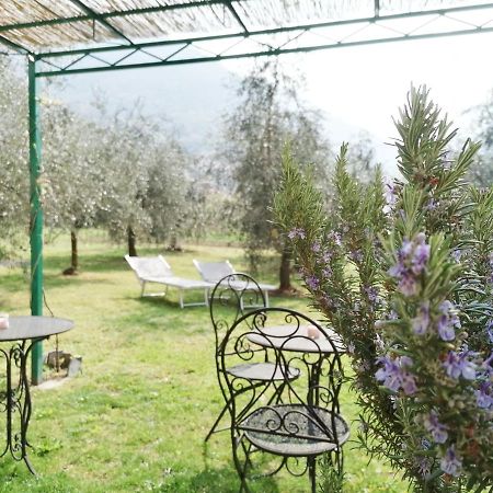 Agriturismo Conca Sandra - Farm Stay On Lake Como Perledo Zewnętrze zdjęcie