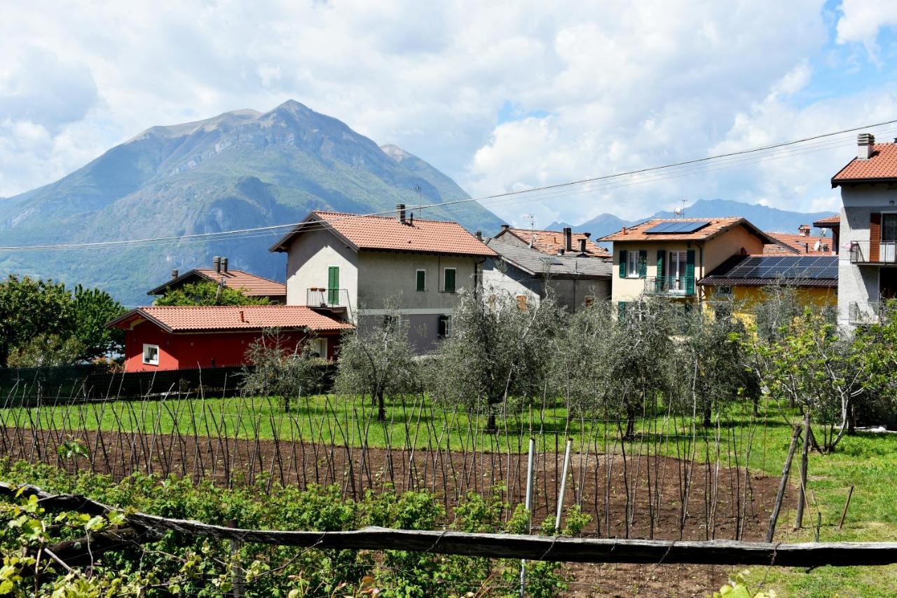 Agriturismo Conca Sandra - Farm Stay On Lake Como Perledo Zewnętrze zdjęcie