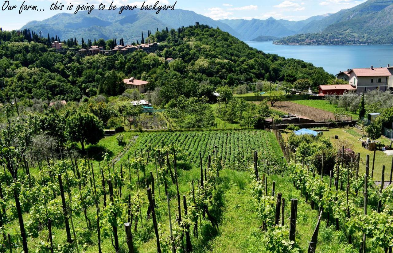 Agriturismo Conca Sandra - Farm Stay On Lake Como Perledo Zewnętrze zdjęcie