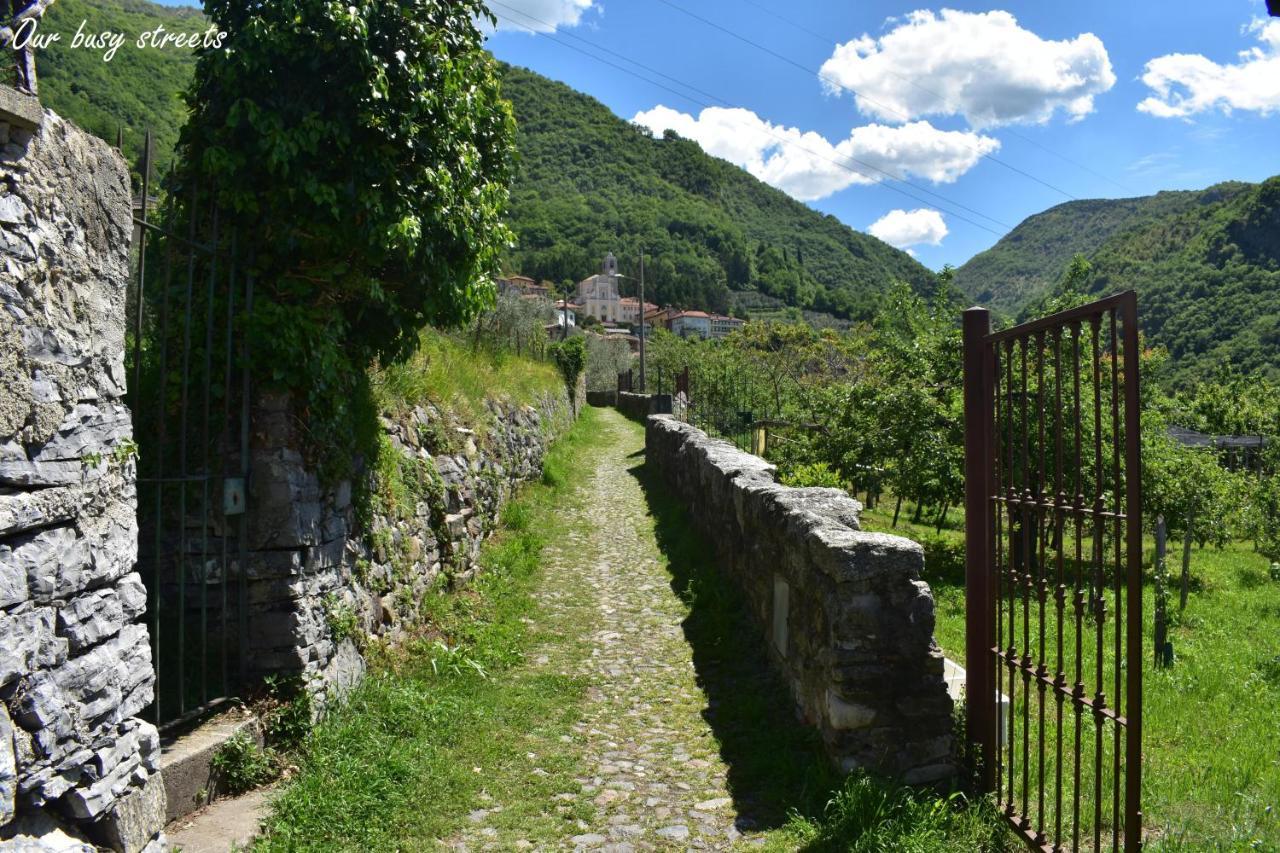 Agriturismo Conca Sandra - Farm Stay On Lake Como Perledo Zewnętrze zdjęcie