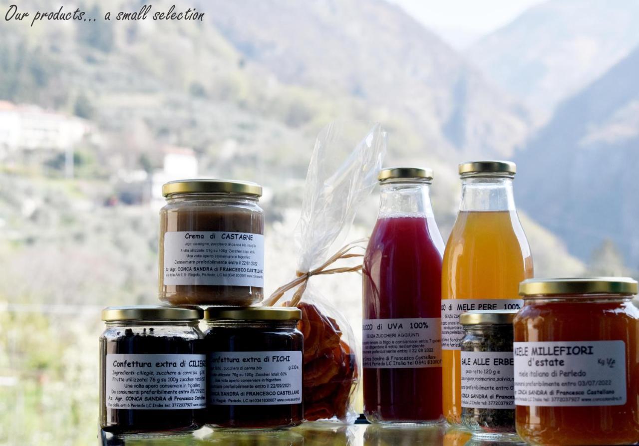 Agriturismo Conca Sandra - Farm Stay On Lake Como Perledo Zewnętrze zdjęcie