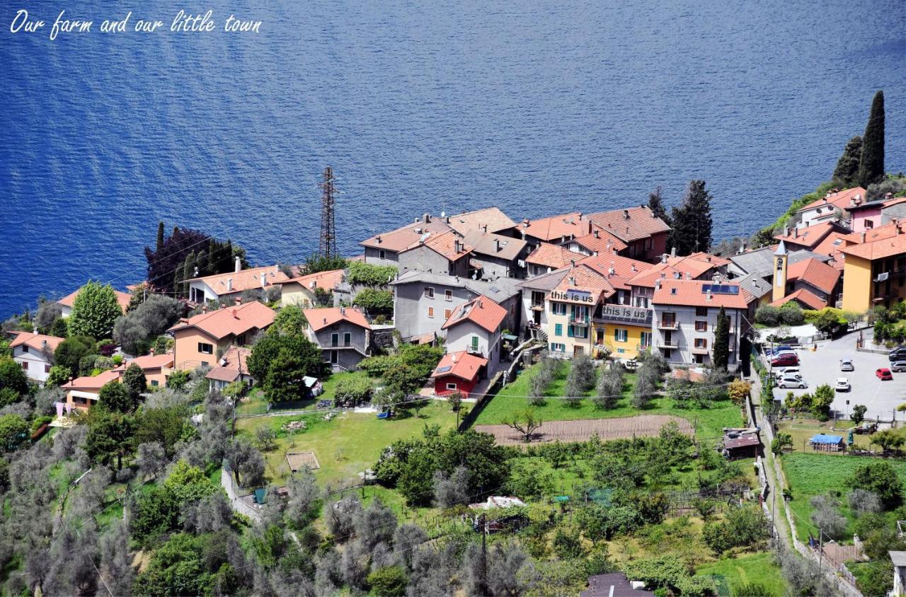 Agriturismo Conca Sandra - Farm Stay On Lake Como Perledo Zewnętrze zdjęcie