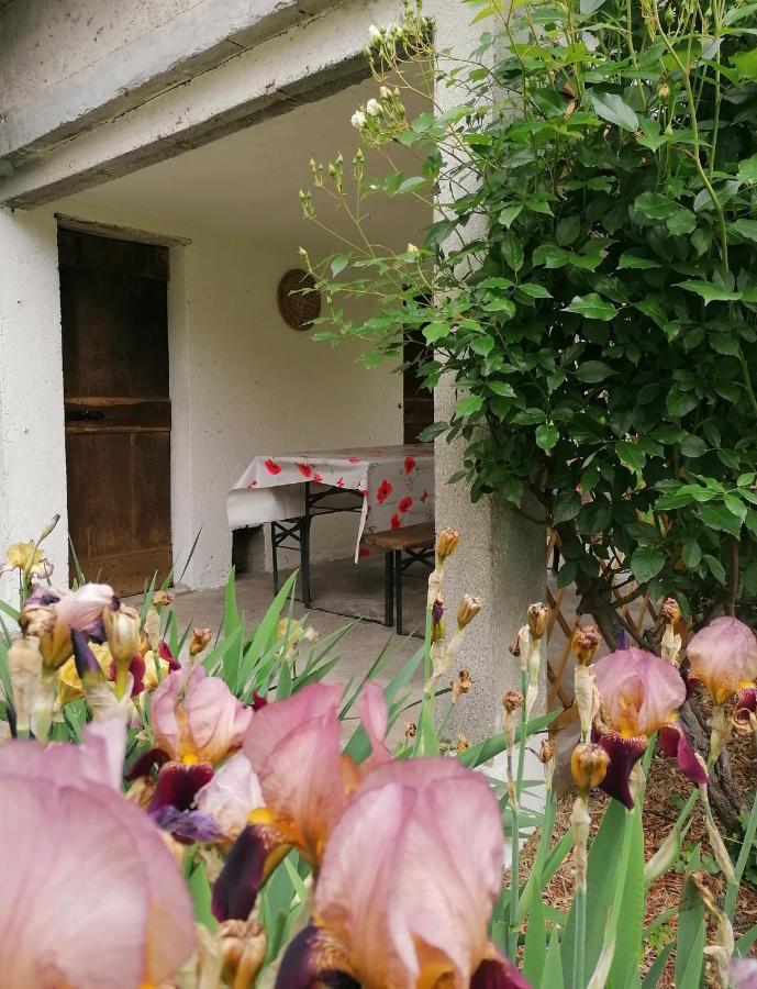 Agriturismo Conca Sandra - Farm Stay On Lake Como Perledo Zewnętrze zdjęcie