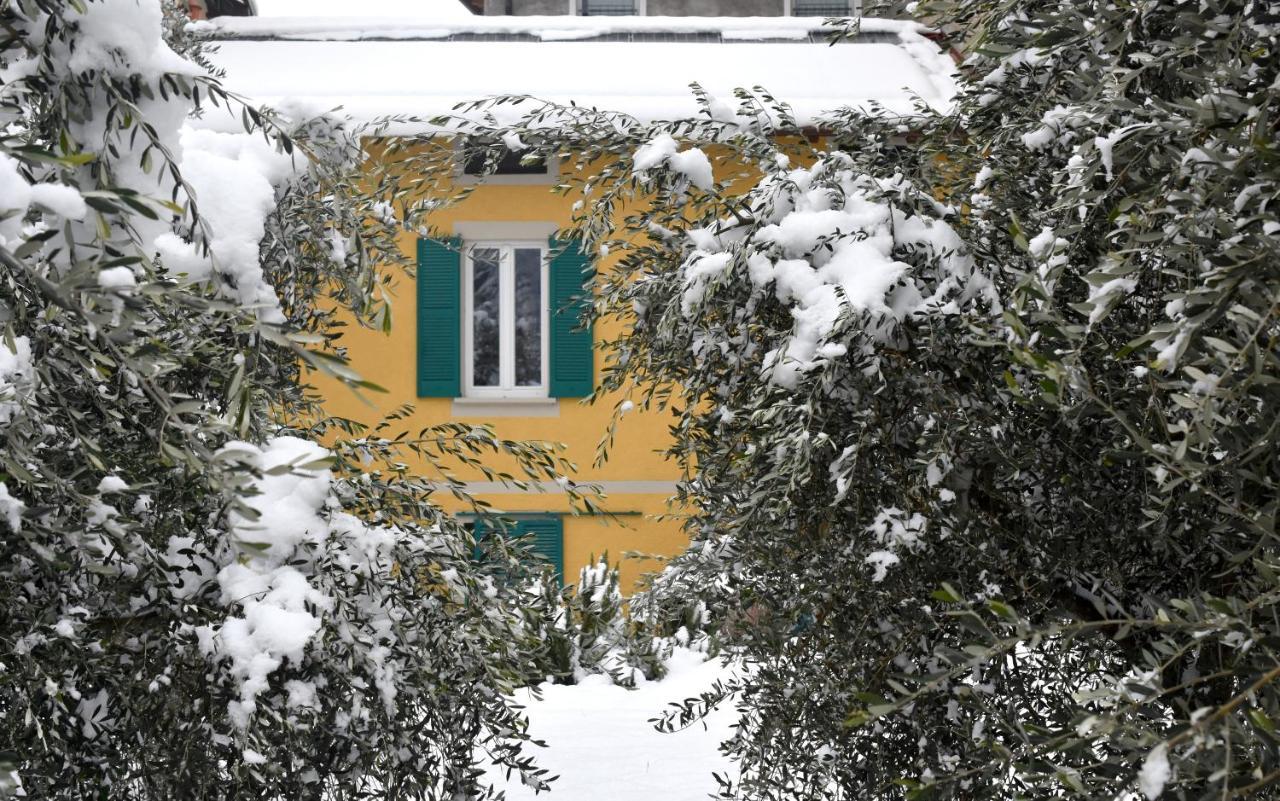 Agriturismo Conca Sandra - Farm Stay On Lake Como Perledo Zewnętrze zdjęcie