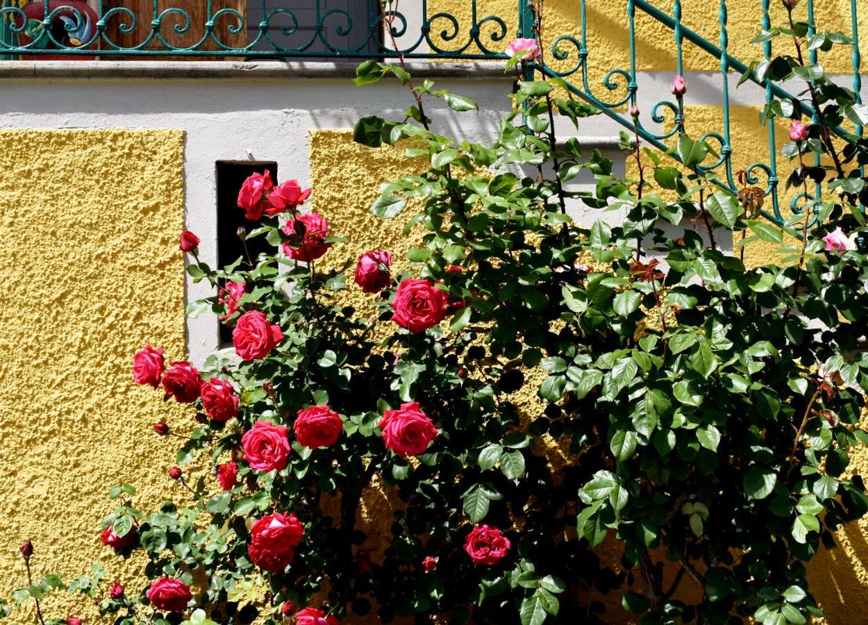 Agriturismo Conca Sandra - Farm Stay On Lake Como Perledo Zewnętrze zdjęcie
