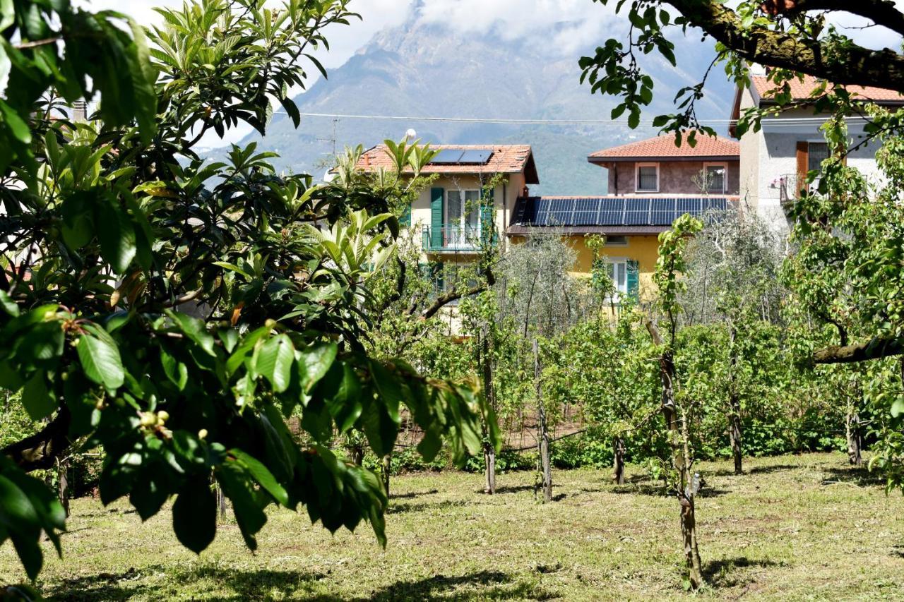 Agriturismo Conca Sandra - Farm Stay On Lake Como Perledo Zewnętrze zdjęcie