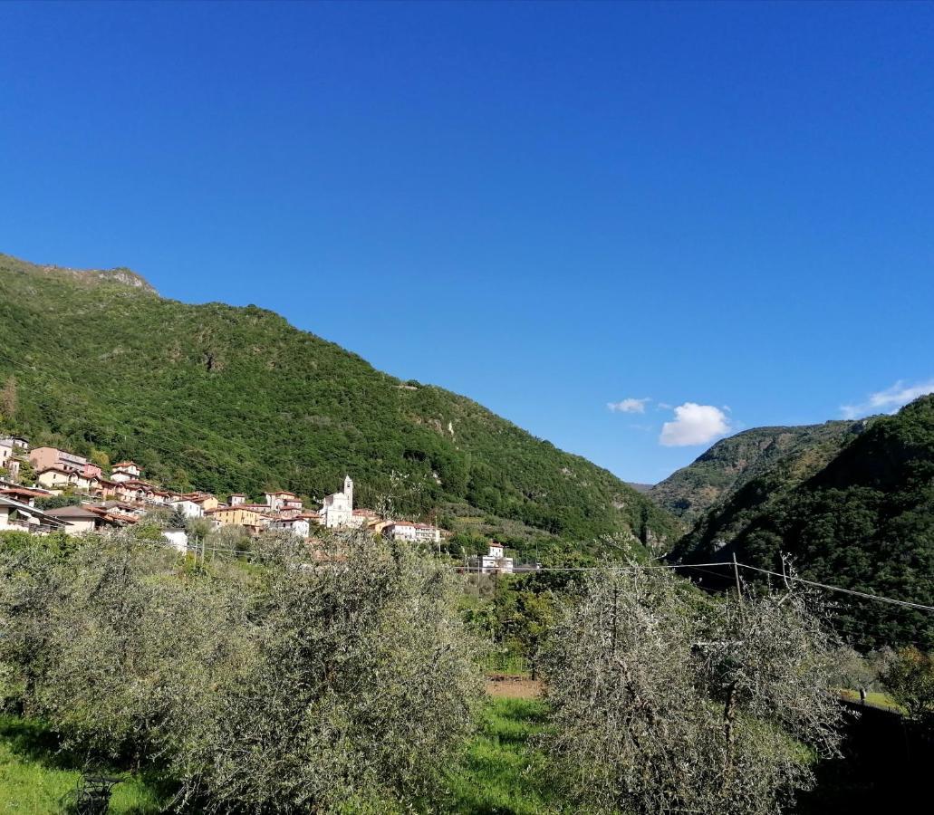 Agriturismo Conca Sandra - Farm Stay On Lake Como Perledo Zewnętrze zdjęcie