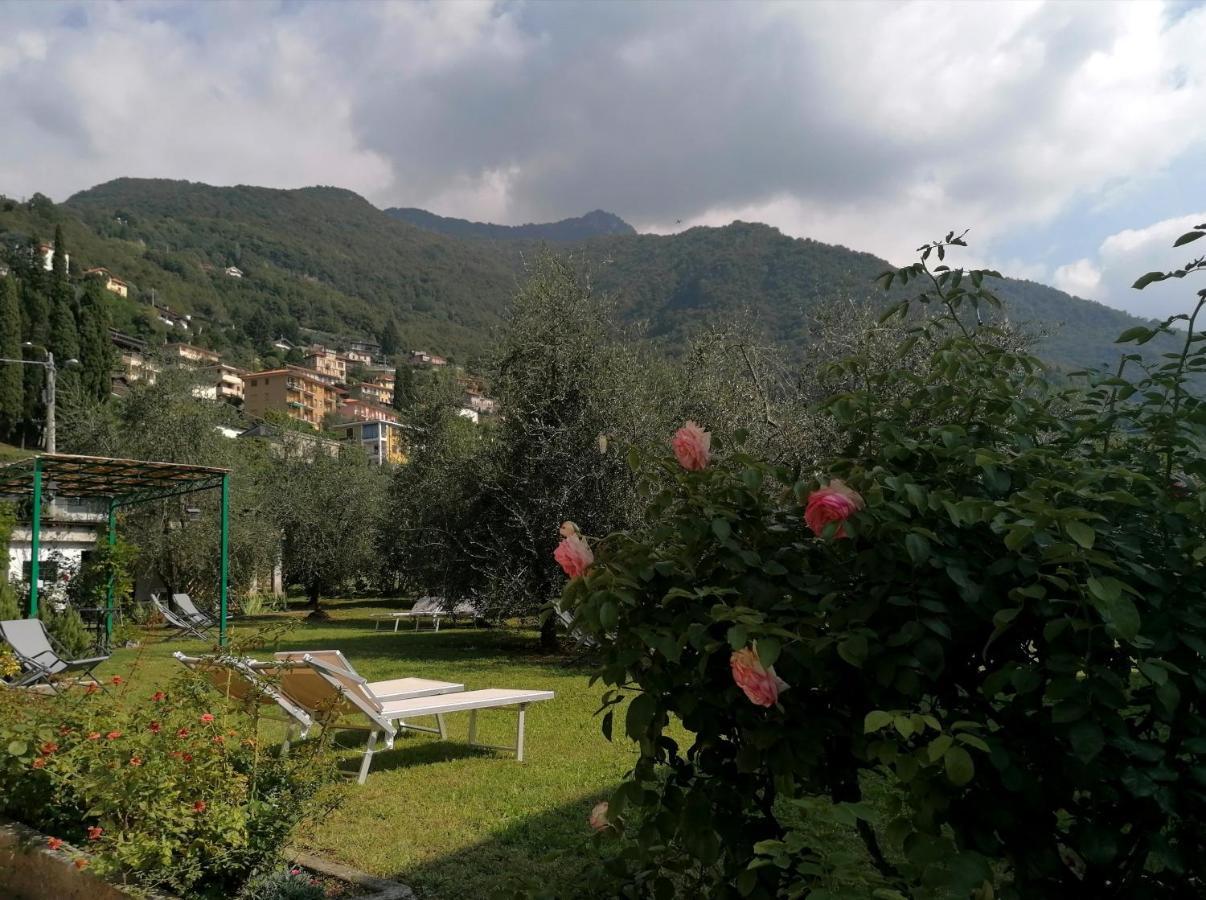 Agriturismo Conca Sandra - Farm Stay On Lake Como Perledo Zewnętrze zdjęcie
