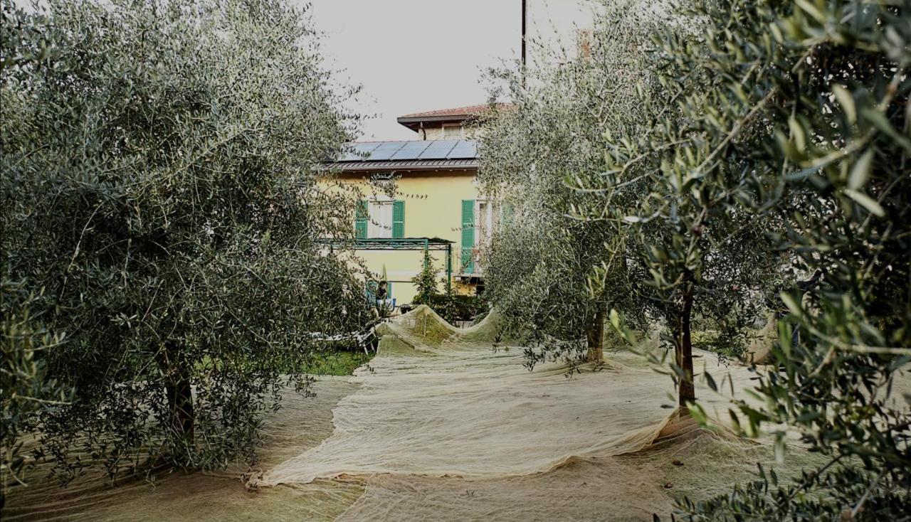 Agriturismo Conca Sandra - Farm Stay On Lake Como Perledo Zewnętrze zdjęcie