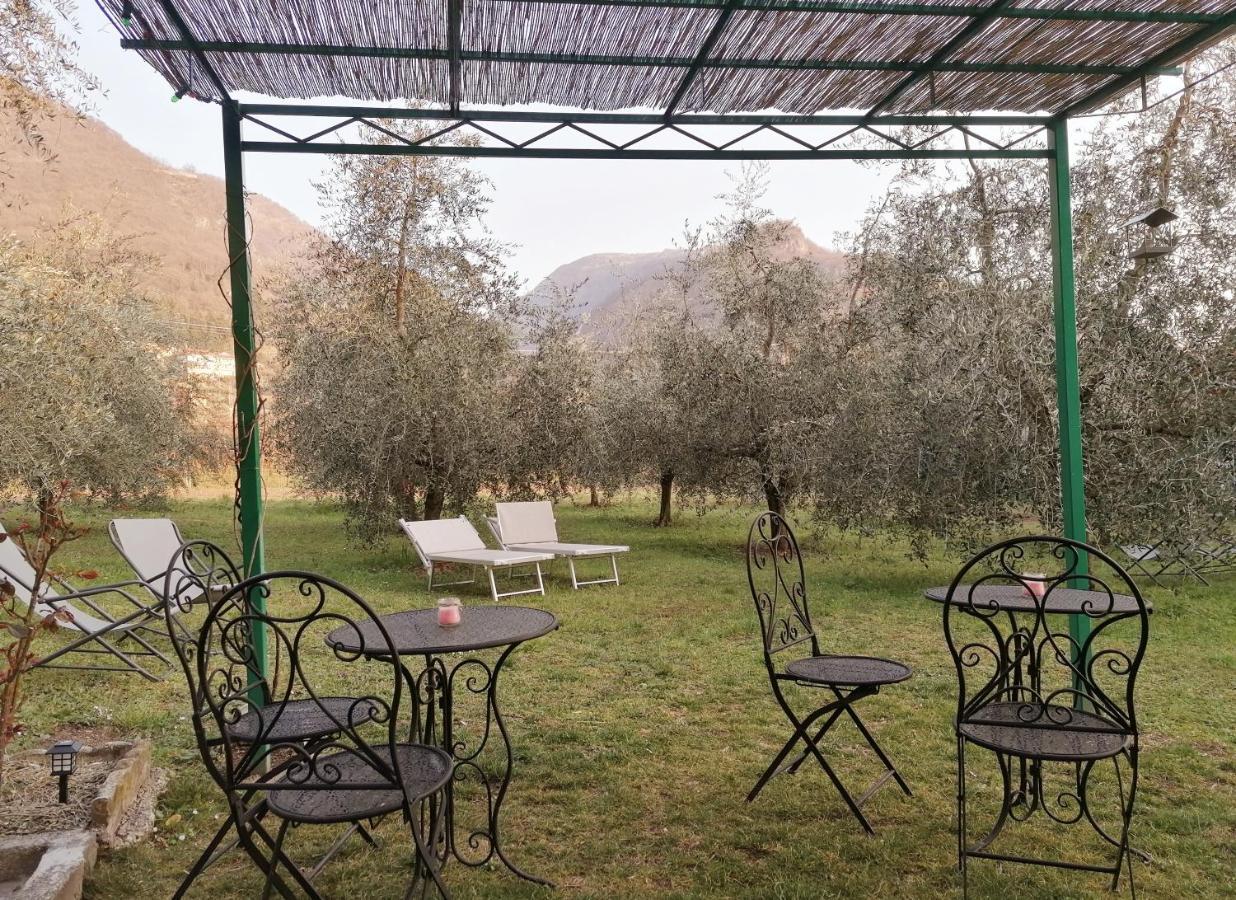Agriturismo Conca Sandra - Farm Stay On Lake Como Perledo Zewnętrze zdjęcie