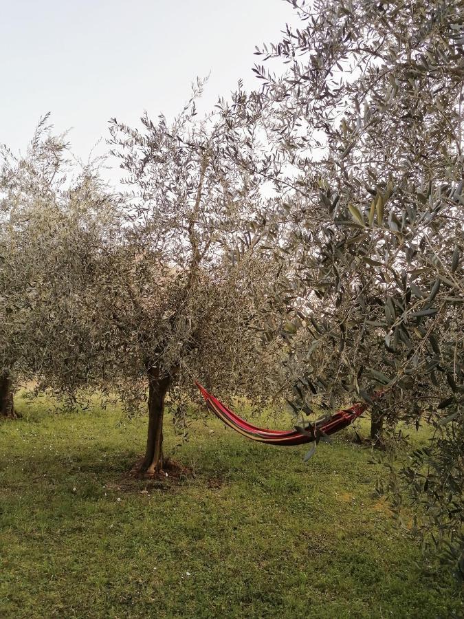 Agriturismo Conca Sandra - Farm Stay On Lake Como Perledo Zewnętrze zdjęcie