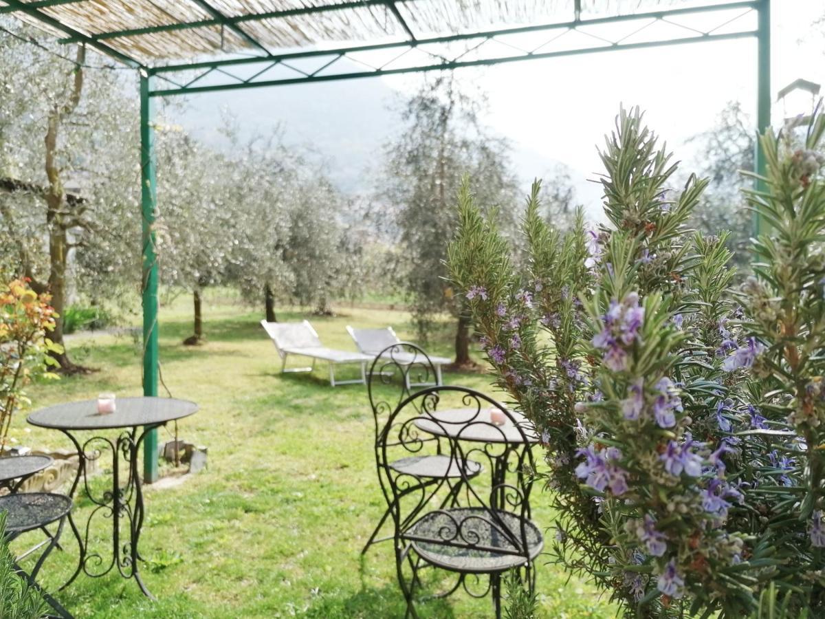 Agriturismo Conca Sandra - Farm Stay On Lake Como Perledo Zewnętrze zdjęcie
