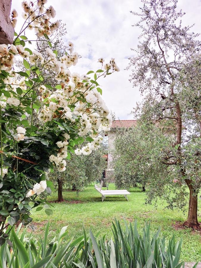 Agriturismo Conca Sandra - Farm Stay On Lake Como Perledo Zewnętrze zdjęcie